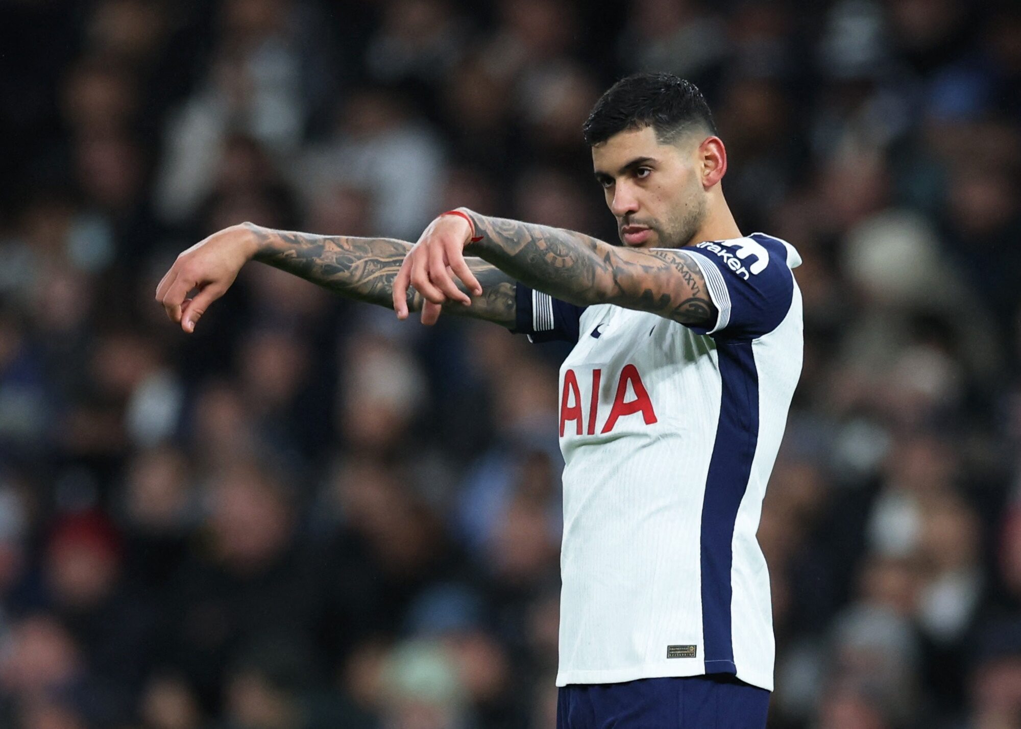 ดูบอลสด